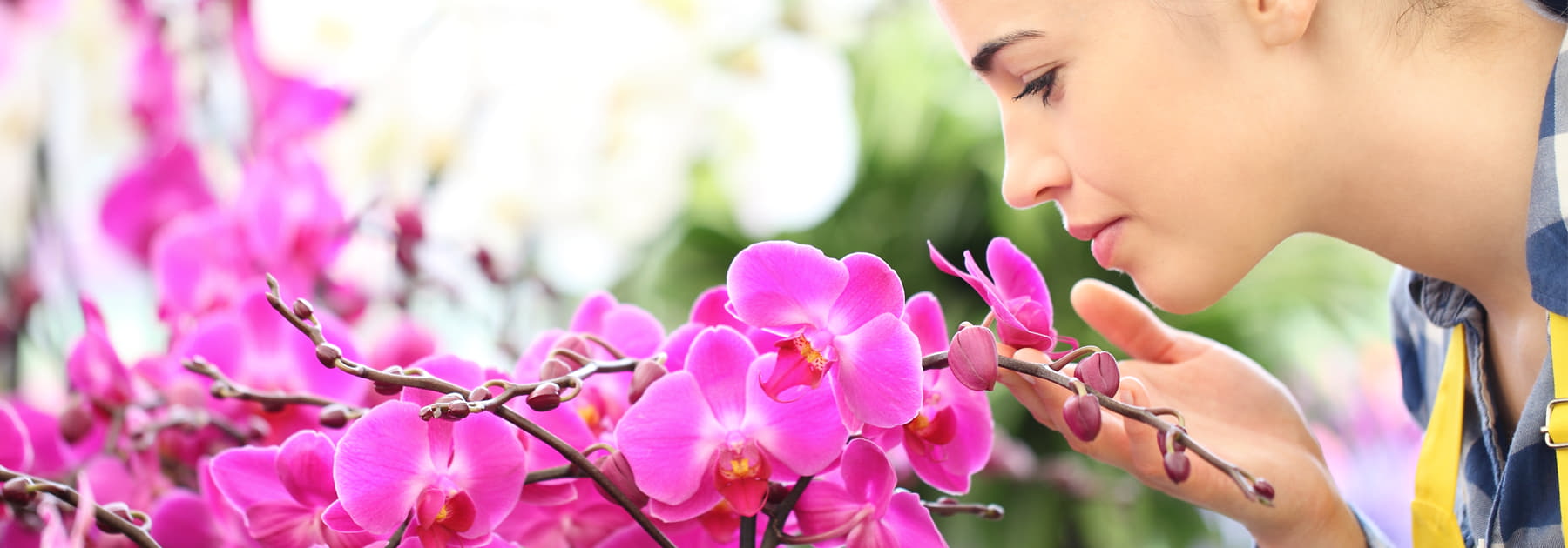 woman smelling flower